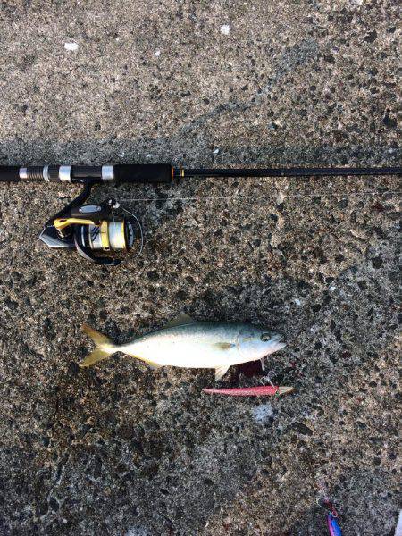 つばすゲットだぜ！！