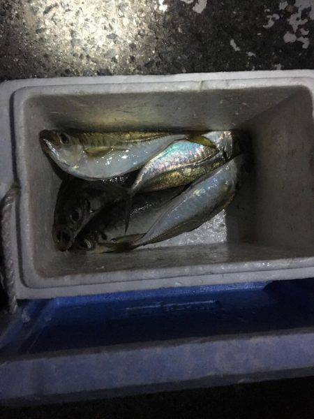 やっとつれたでー！