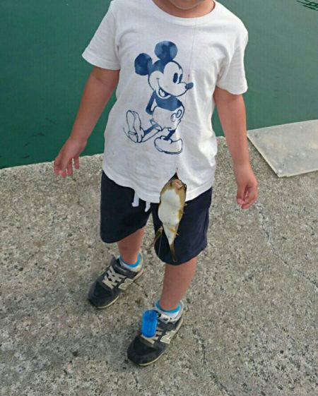 豆アジが湧いている