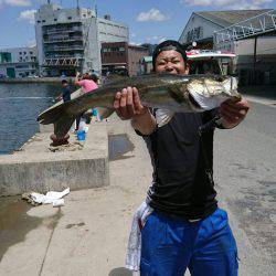 まったりサビキと泳がせで