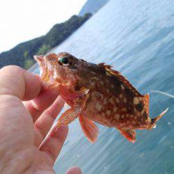 引本市場前にて