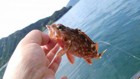 引本市場前にて