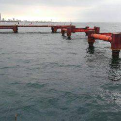 やっと投稿できる釣果が！