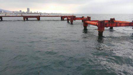 やっと投稿できる釣果が！