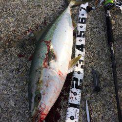 間一髪ギリギリセーフ