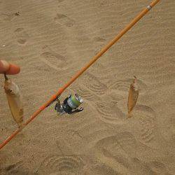 荒れ後のキスはやはり低活性