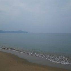 丹後でキス釣り(小型多し)