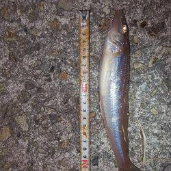 気持ち良かった～