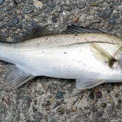 大荒れの中　第2段