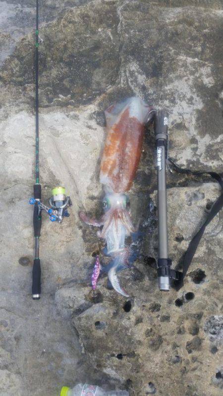 レッドモンスター