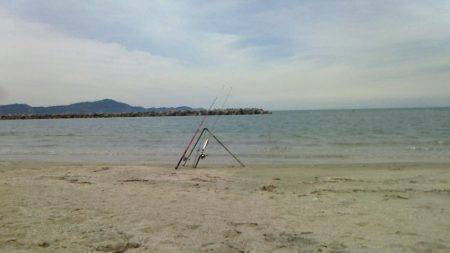 投げつり 渋かった