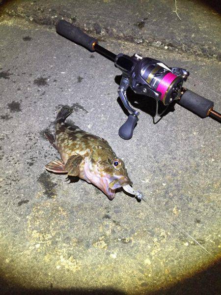 市内でガシリング！