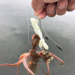 まだかな、数が伸びない！