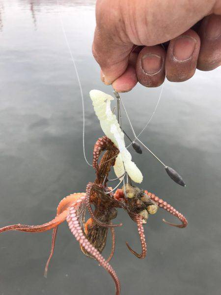 まだかな、数が伸びない！