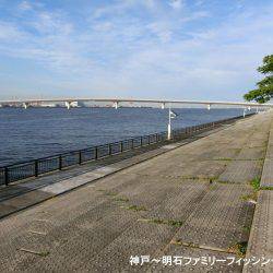 ジグヘッドがいくらあっても足りない