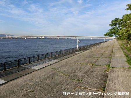 ジグヘッドがいくらあっても足りない