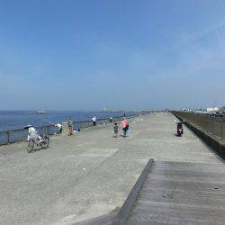 林崎漁港に豆アジが来たーっ‼