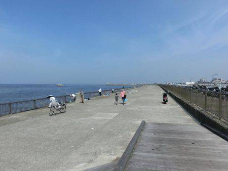 林崎漁港に豆アジが来たーっ‼