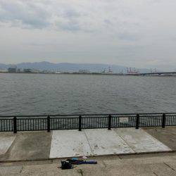 ライトワインドで小サバの乱舞