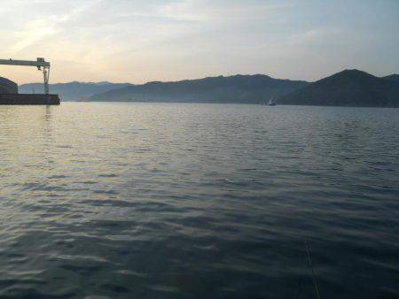 梅雨晴れ、磯でアオリイカのヤエン釣り