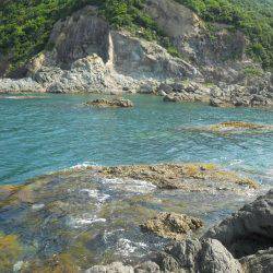 釣り日和、磯でアオリイカのヤエン釣り