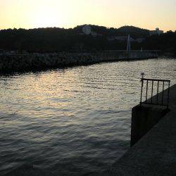 雑賀崎一文字でルアーフィッシング