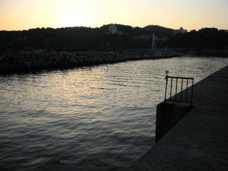 雑賀崎一文字でルアーフィッシング