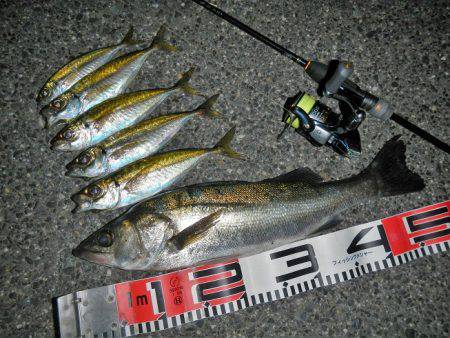 調子出てきました