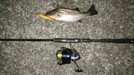 バチパターンラスト！