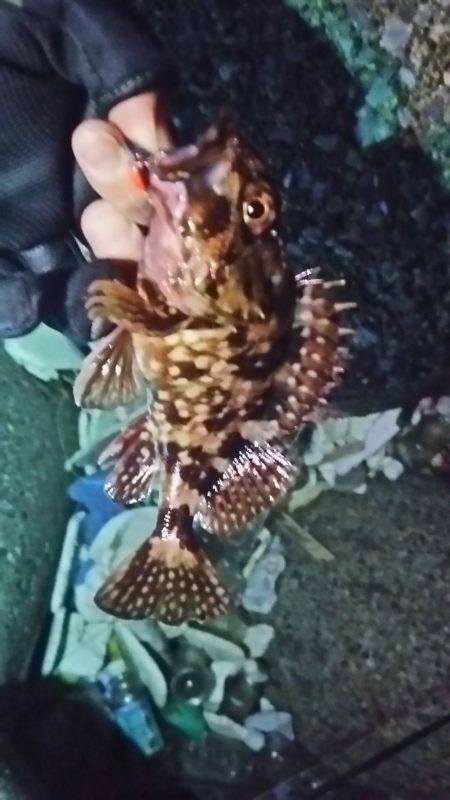 ライトゲーム!!