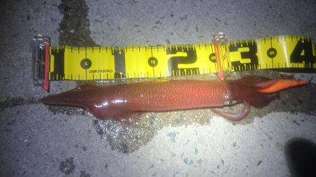 今シーズン初！