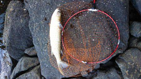 前回釣れたポイントに、サイズアップ狙い！