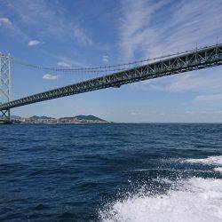 明石鯛爆釣⁉️