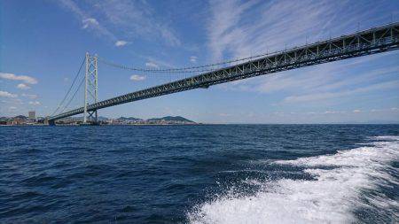 明石鯛爆釣⁉️