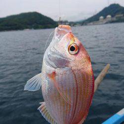 ウミック手漕ぎボート❕