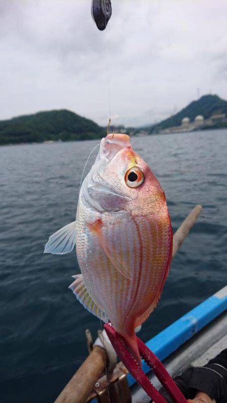 ウミック手漕ぎボート❕