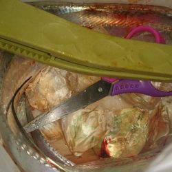 ゆうまづめハズレ