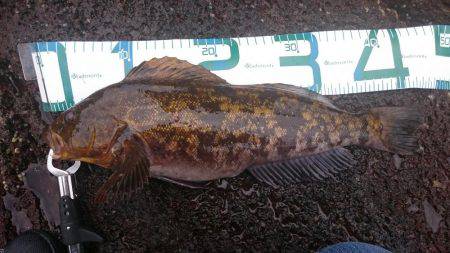 雨のなかフィッシュオン