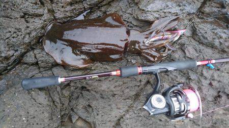 朝マズメエギング