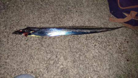 アタリを逃さず