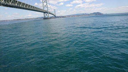 胴付きでちょい投げ