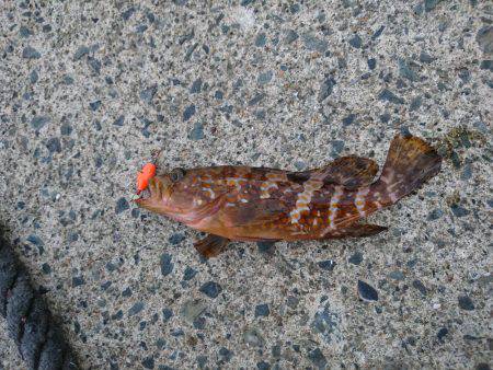 釣りが……したいです。