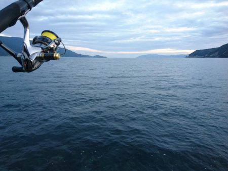 敦賀の春イカ(甲)