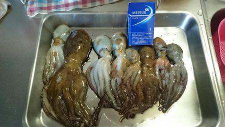 深夜からのタコ釣り