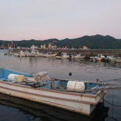 いてくれました。