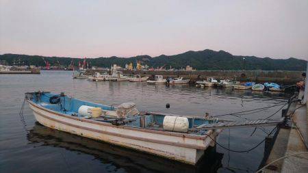 いてくれました。