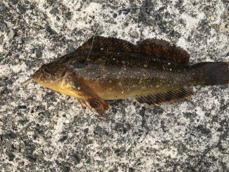 食いが渋かった