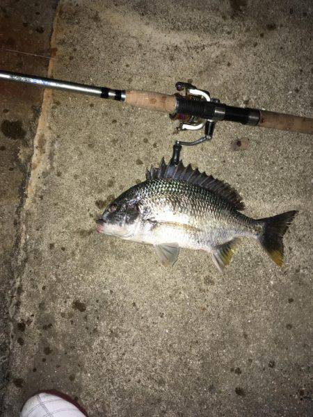 梅雨時期の短時間釣行