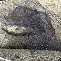 仕事帰りに寄り道♫