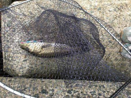 仕事帰りに寄り道♫